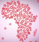 Africa_red